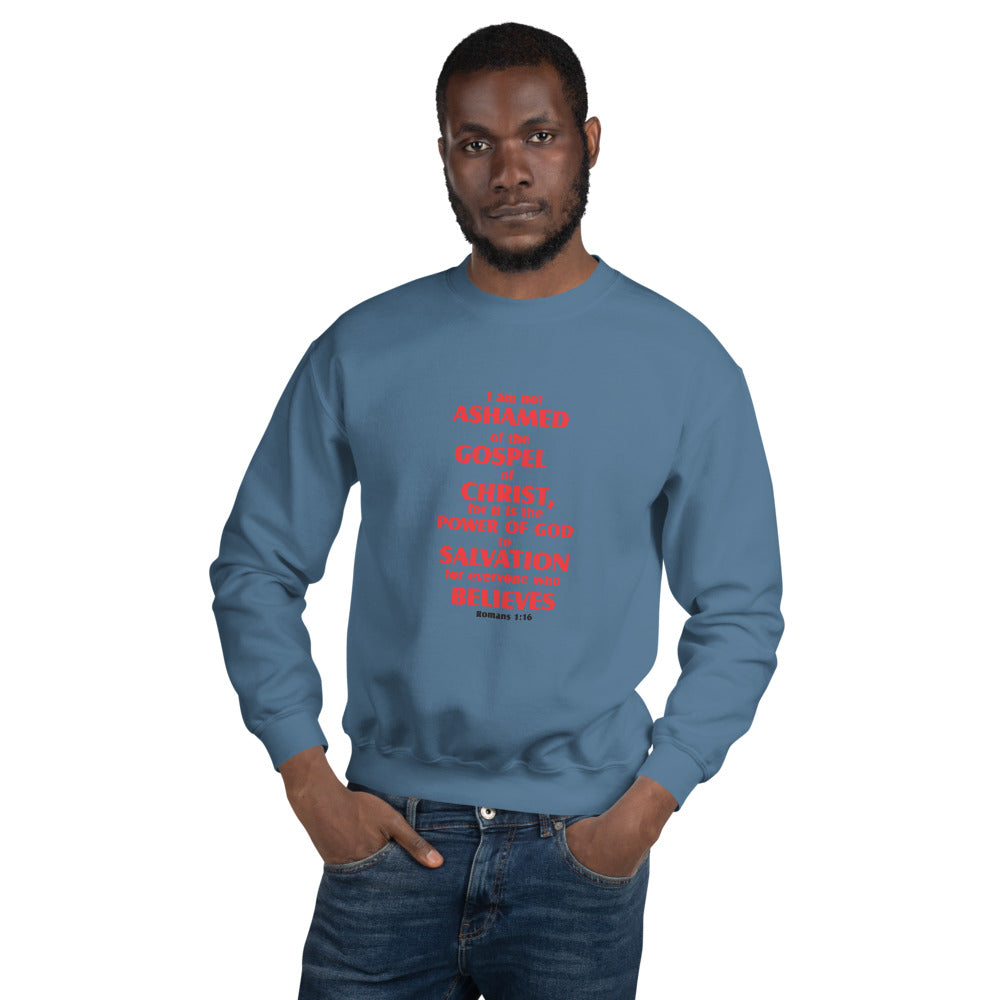 Unisex Sweatshirt - D Gospel Apparel