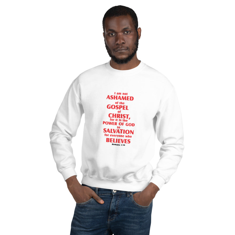 Unisex Sweatshirt - D Gospel Apparel