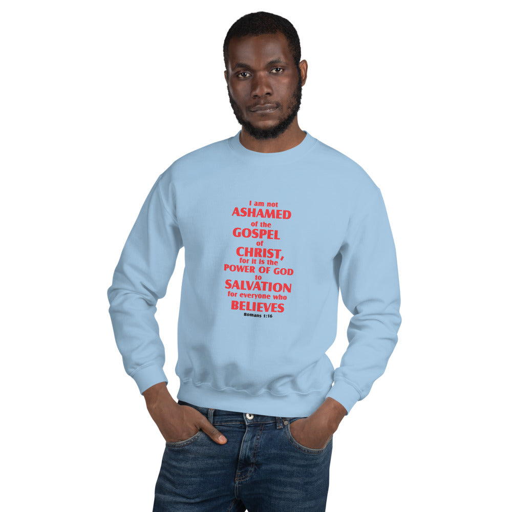 Unisex Sweatshirt - D Gospel Apparel