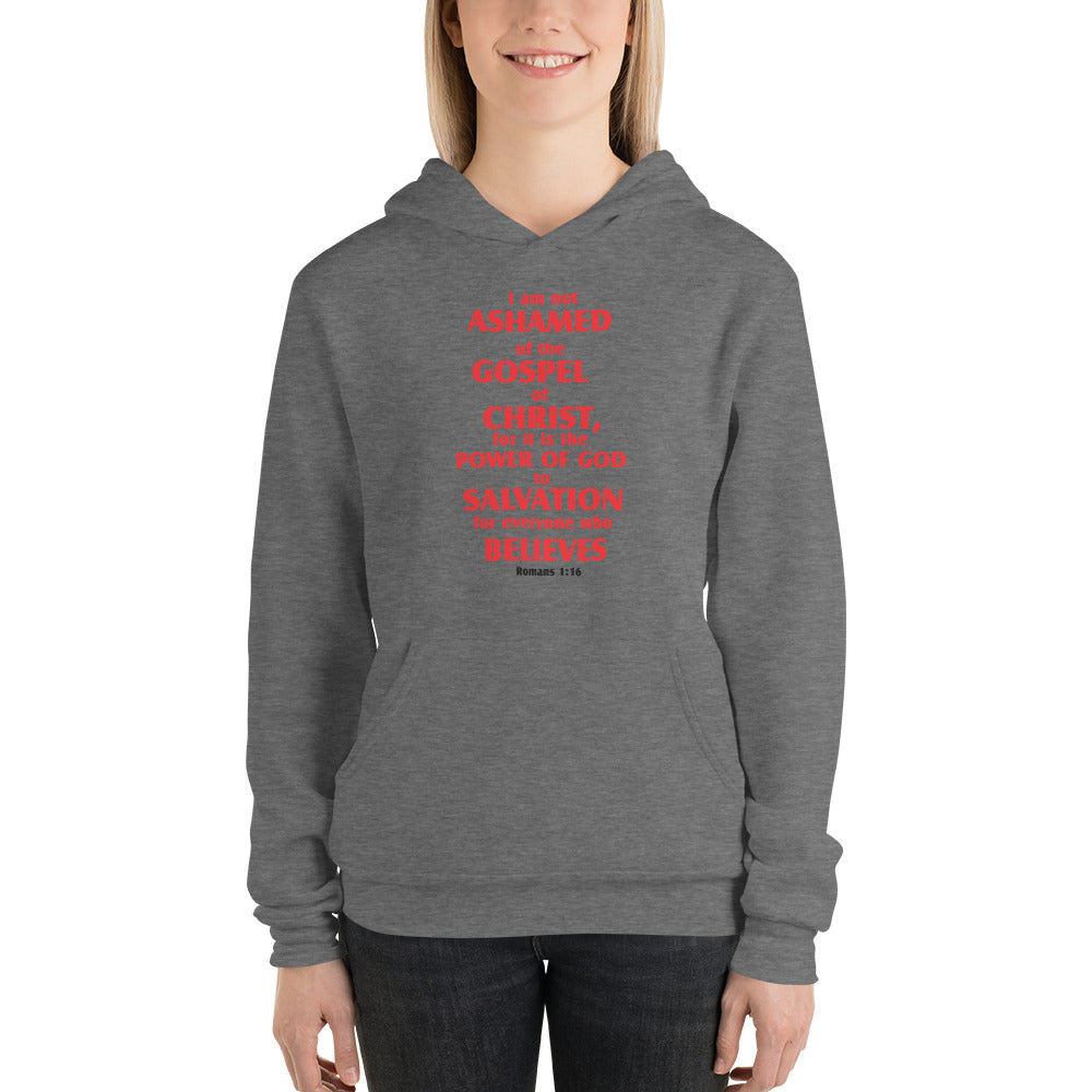 Unisex hoodie - D Gospel Apparel