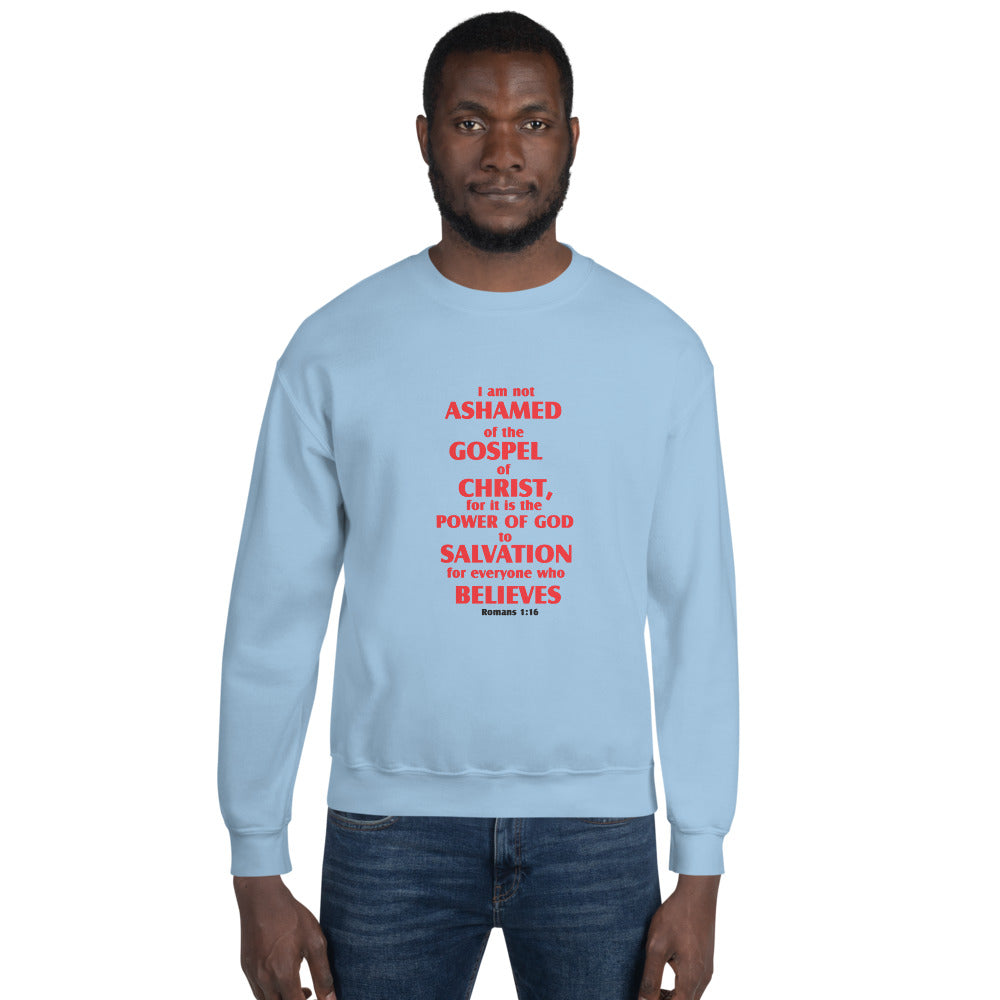 Unisex Sweatshirt - D Gospel Apparel