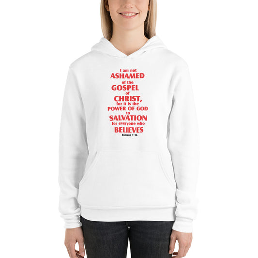 Unisex hoodie - D Gospel Apparel