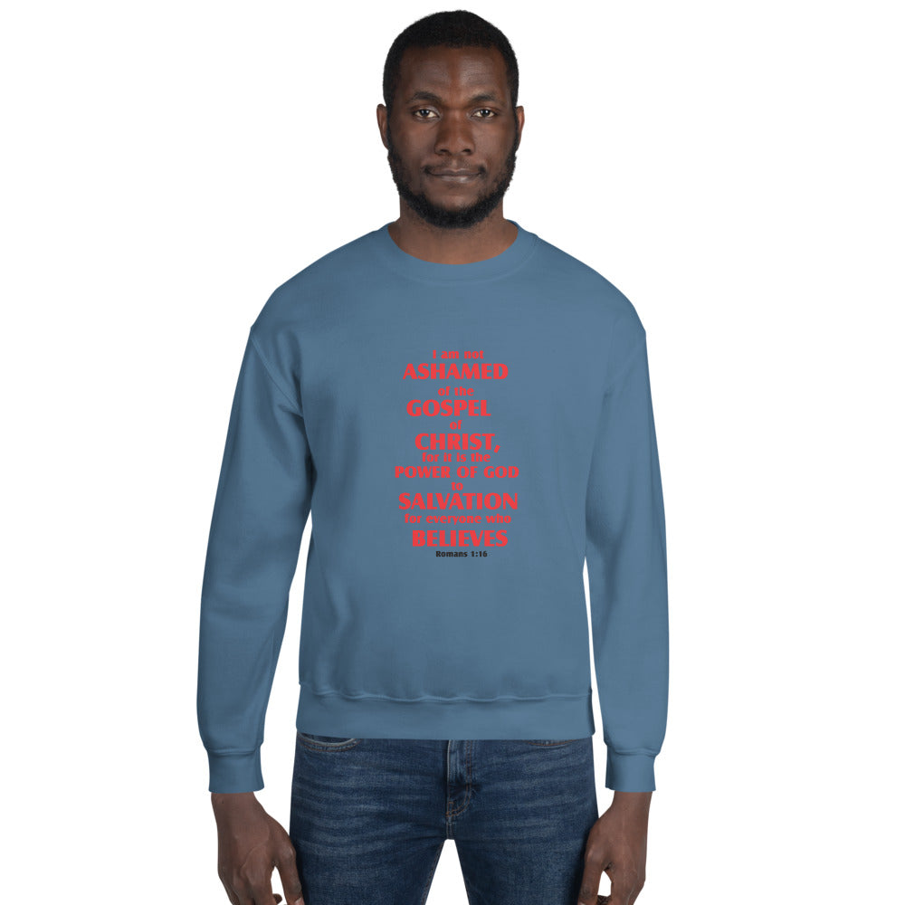 Unisex Sweatshirt - D Gospel Apparel