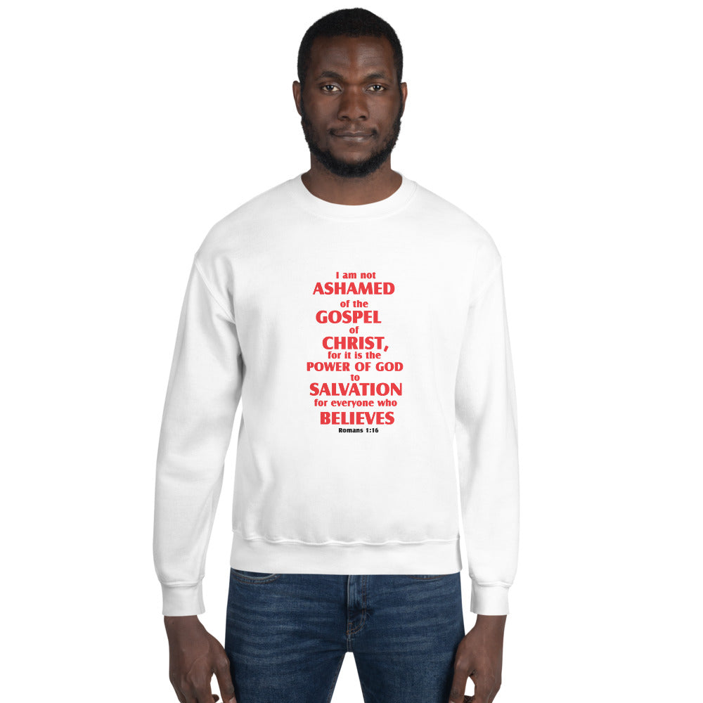 Unisex Sweatshirt - D Gospel Apparel